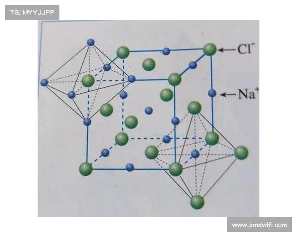 深入探索澳洲杯赛事的五大关键数据指标与趋势的全面深度解析报告